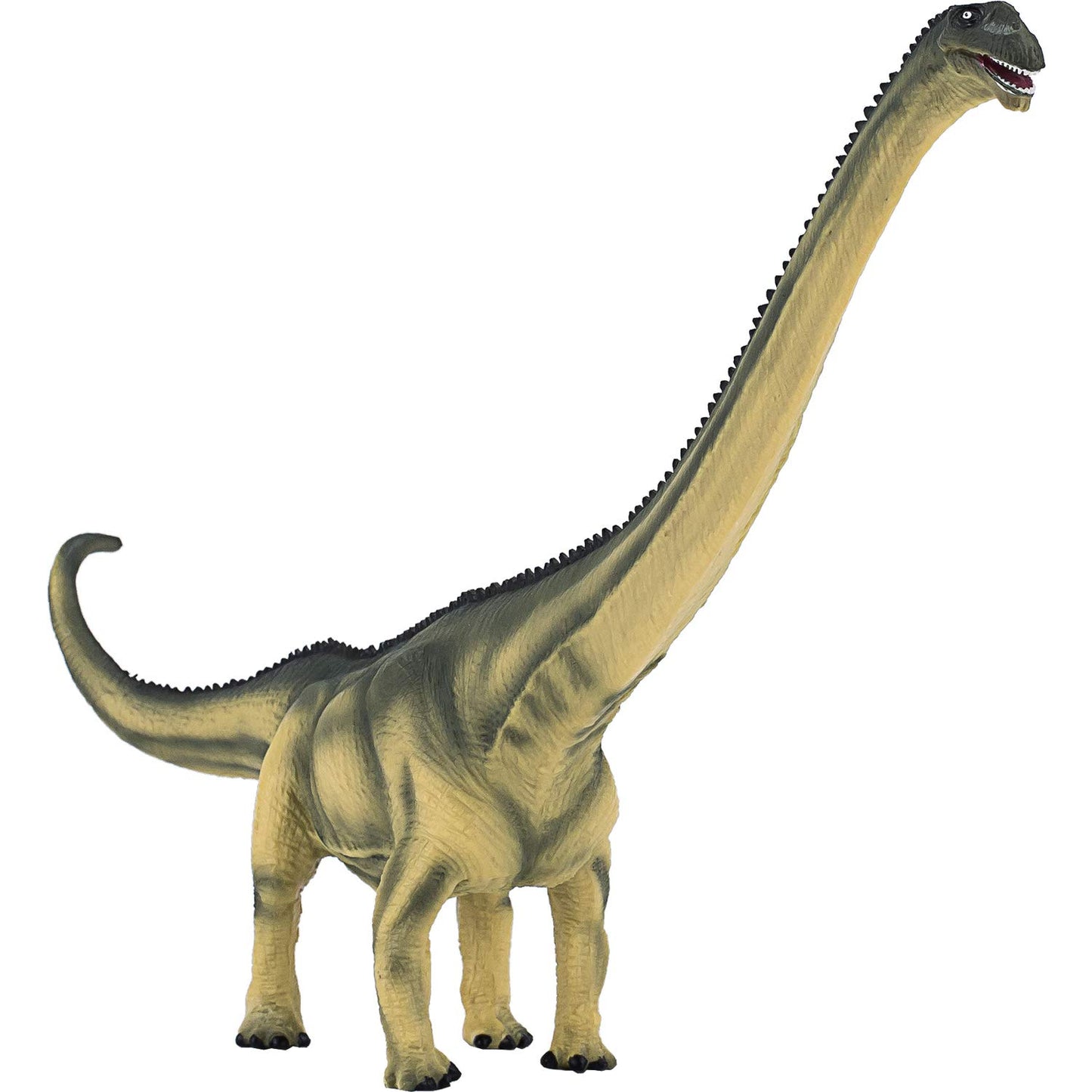Mojo - Realistic Dinosaur Figurine, Mamenchisaurus, Green, 11 X 2.2 X 7.5