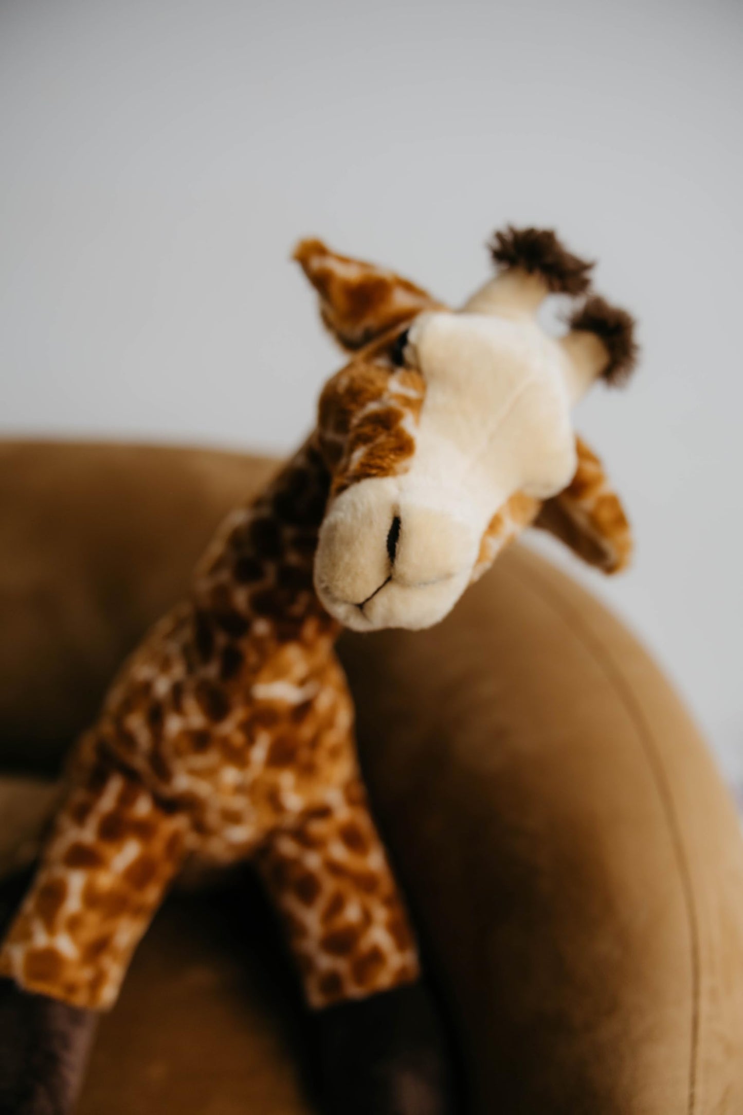 The Petting Zoo Giraffe Stuffed Animal, Gifts for Kids, Wild Onez Zoo Animals, Jumbo Giraffe Plush Toy 24 inches