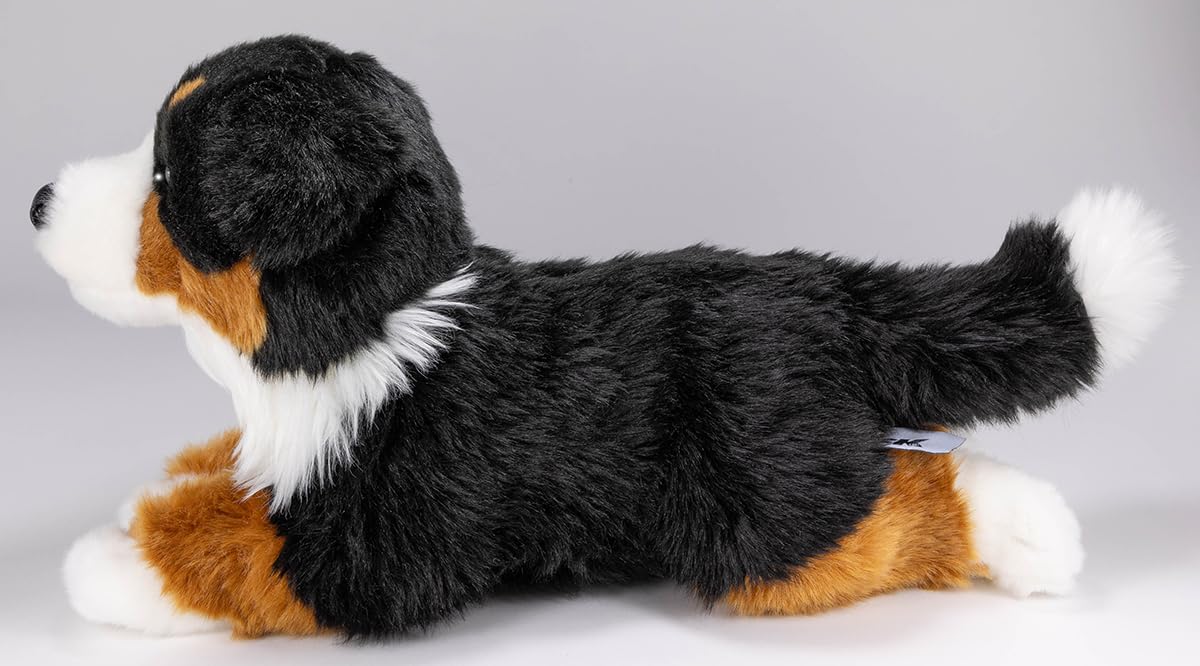 Carl Dick Bernese Mountain Dog 12 Inches, 30Cm, Plush Toy, Soft Toy, Stuffed Animal 1269001