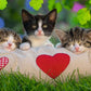 Ravensburger 07801, Sleepy Kitten 2 X 24 Piece Puzzles In A Box, 2 X 24 Piece Puzzles For Kids, Every Piece Is Unique, Pieces Fit Together Perfectly, Multi