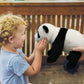 Ice King Bear Wild Animal Stuffed Animals Zoo Family Plush Toy (Panda 10 Inches)