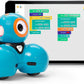 Coding Bot STEM Companion