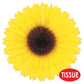 Beistle Sunflower Fan Pack of 4