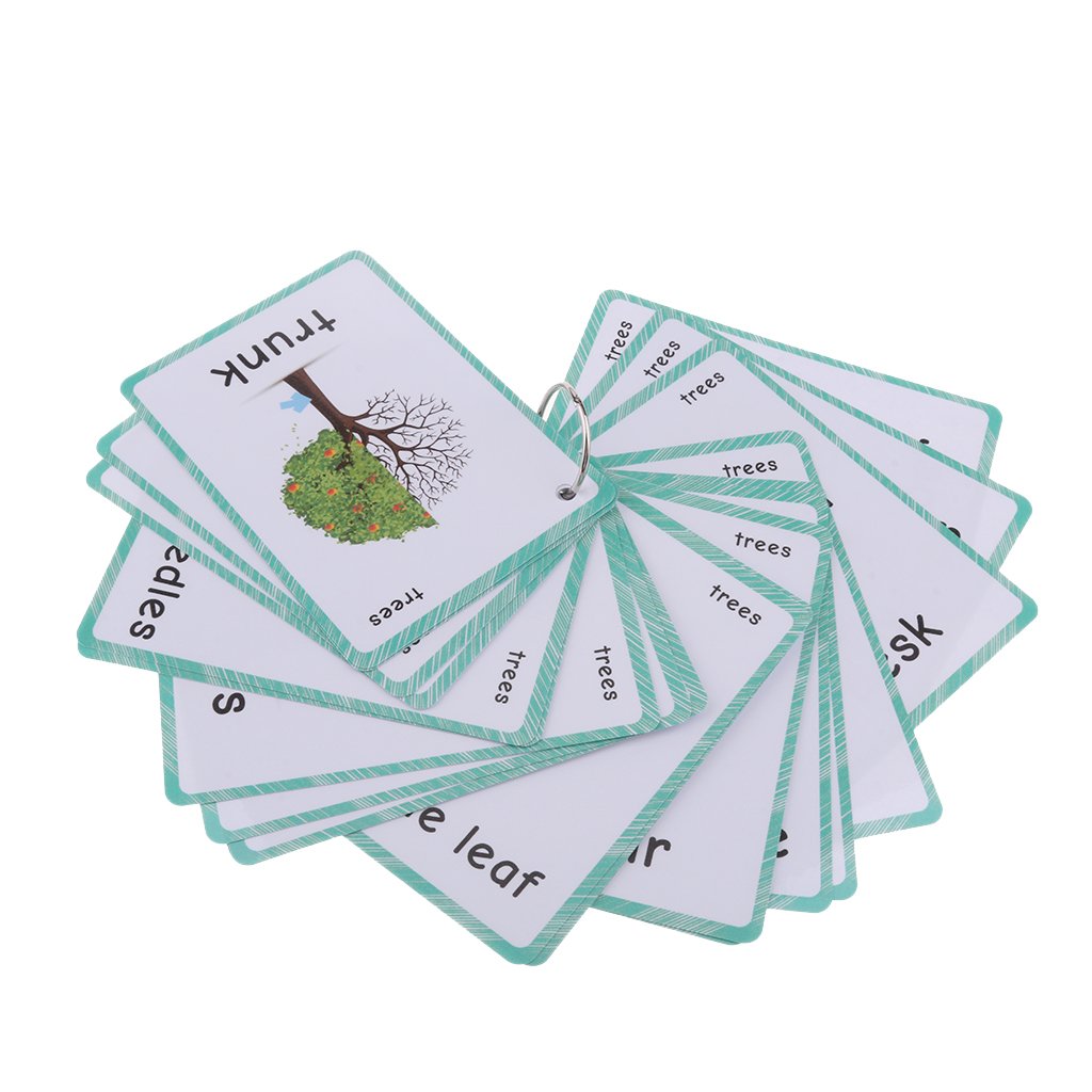 Styleheaven Preschool Educational Flash Cards Trees  23 Pieces