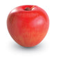 Learning Resources Magnetic Apple Fractions, Multi-Color, 10.5 X 10.4 X 3.2 Inches (Ler0904)