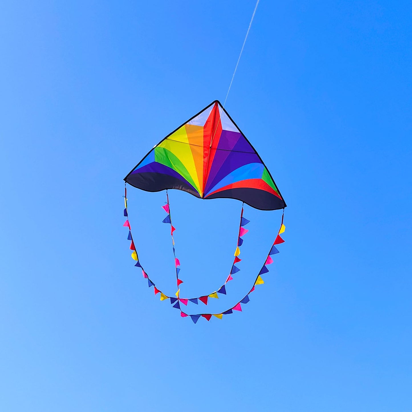 Kaiciuss Beach Kite For Kids & Adults Large, Easy To Fly Single Line Delta Kite, 55' X 28' Kite For Boys & Girls Comes With 300 Ft String Kite Handle