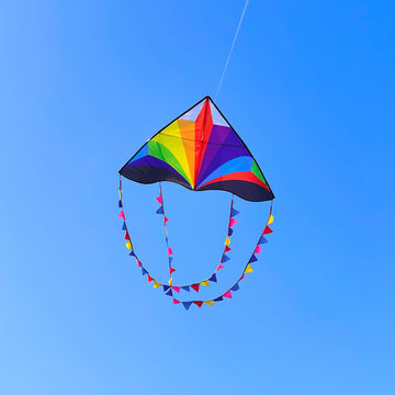 Kaiciuss Beach Kite For Kids & Adults Large, Easy To Fly Single Line Delta Kite, 55' X 28' Kite For Boys & Girls Comes With 300 Ft String Kite Handle