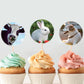 Hohamn Farm Animal Stickers Roll for Kids 600Pcs Round Farm Animals Label Stickers for Boys Girls Birthday Party Favors Gifts De
