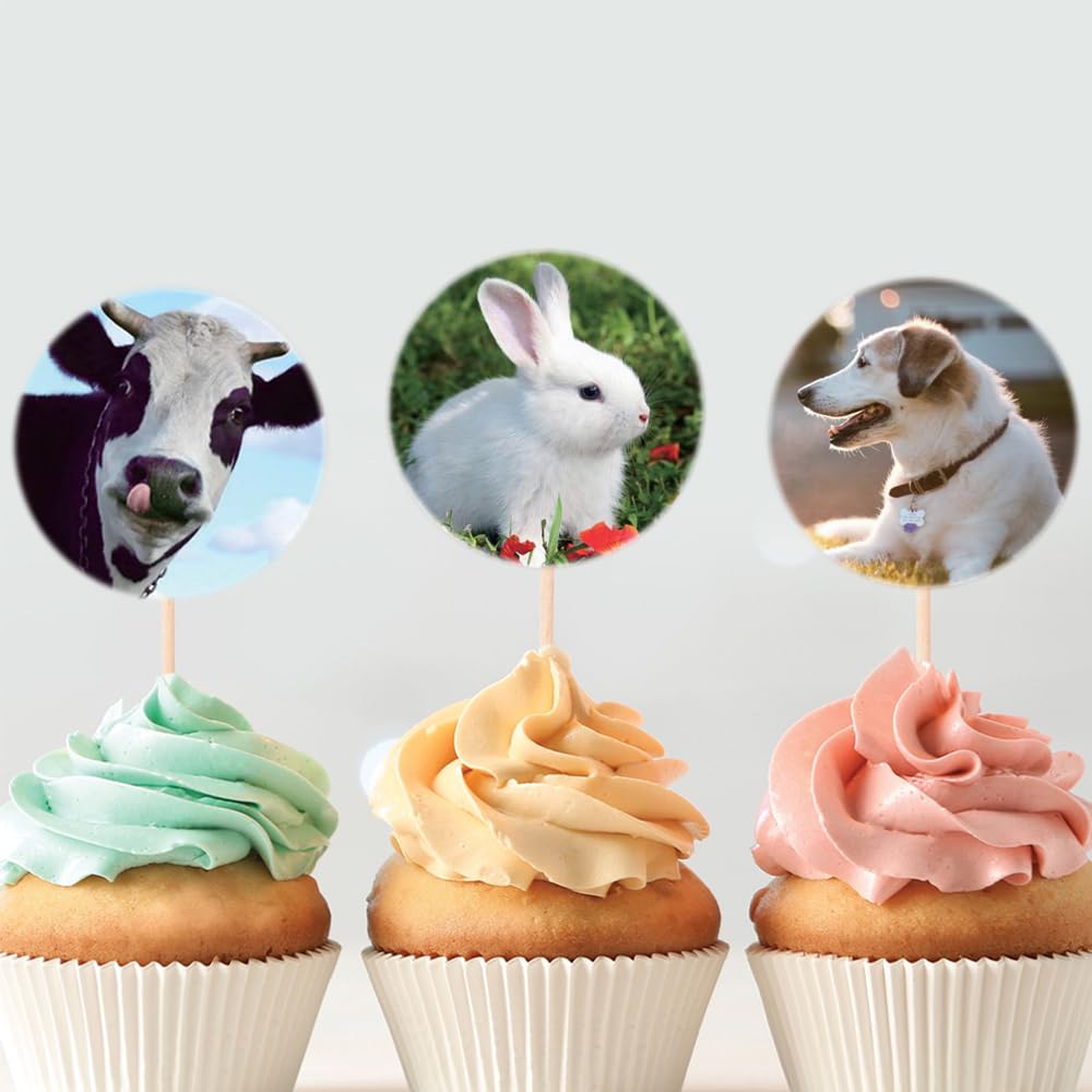 Hohamn Farm Animal Stickers Roll for Kids 600Pcs Round Farm Animals Label Stickers for Boys Girls Birthday Party Favors Gifts De