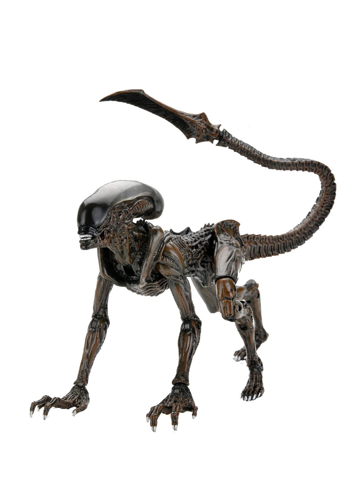 NECA 7" Scale Action Figure - Aliens Fireteam Elite Runner Alien - Black/Brown - Model H858700 - Plastic