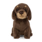 Living Nature Dachshund Puppy, Realistic Soft Cuddly Dog Toy, Naturli Eco-Friendly Plush, 7 Inches