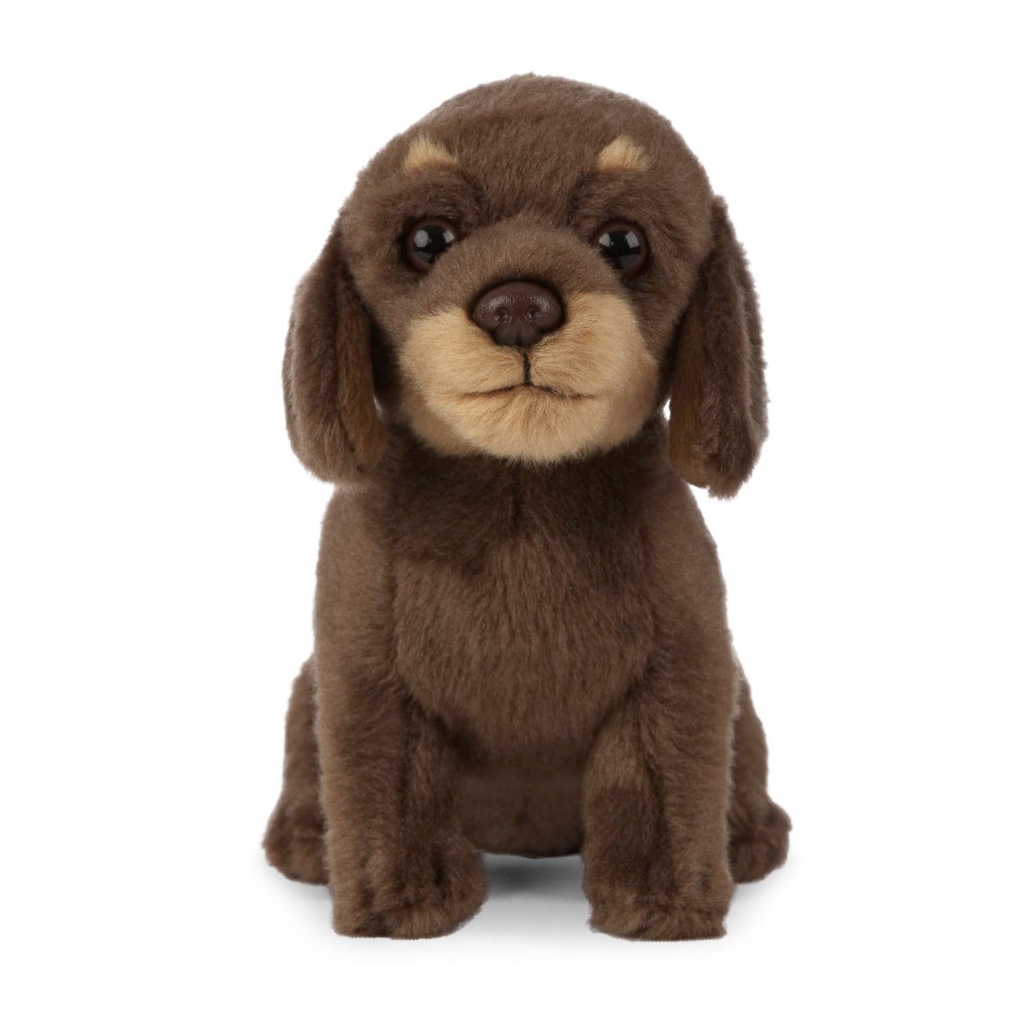 Living Nature Dachshund Puppy, Realistic Soft Cuddly Dog Toy, Naturli Eco-Friendly Plush, 7 Inches