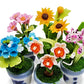 WitnyStore Tiny 1 High 5 Pieces Set Mix Sunflower Orchid Hydrangea Zinnia - Hand Made Artificial Flowers Colorful Miniature Real