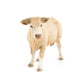 Papo - Hand-Painted - Figurine - Blonde D'Aquitaine - 51185 - Farm - Animals - Collectible - For Children - Suitable For Boys And Girls- From 3 Years Old