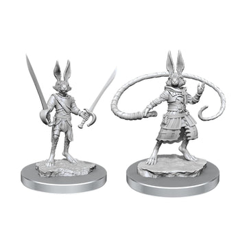 D&D Nolzurs Marvelous Unpainted Miniatures | Harengon Rogues