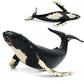 EOIVSH Soft Rubber Humpback Whale Toy, 14.2" Realistic Ocean Figure for Kids, Bath & Beach Fun, Plastic, Great Birthday Gift