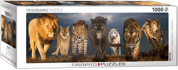 Big Cats