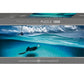 Heye Stingray 1000 Piece David Doublet Panoramic Jigsaw Puzzle