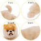16 Inch- Pomeranian Stuffed Animals Toy Dog,Plush Puppy Realistic Cute Toy Dog Present Gift For Girls Boys