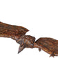 Hiya Toys Godzilla: King of Monsters - Rodan (Flameborn) Exquisite Basic Previews limited availability Action Figure