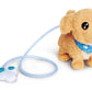 CCL Loomy, Golden Retriever