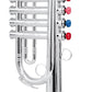 My First Saxophone and Trumpet Horn Set