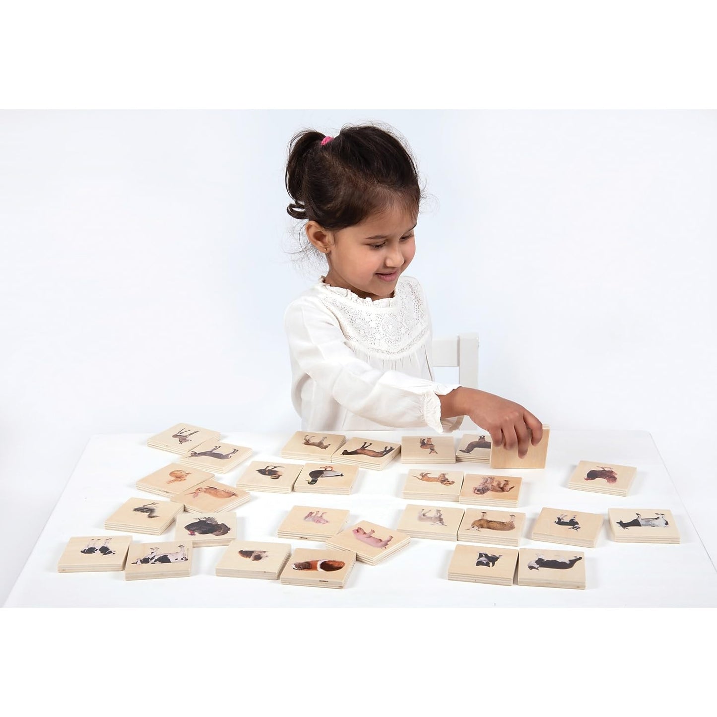 Tickit - 73406 Domestic Animal Family Match - Set Of 28 - Real Pictures - Animal Memory Game With Parents And Babies - Animal Ma