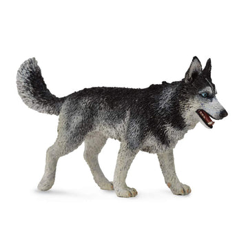 Collecta Dogs & Cats Siberian Husky Toy Figure