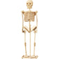 Wonders of Learning Tin Set - Discover The Human Body, Multi Color, Metal, Model RWPTS01