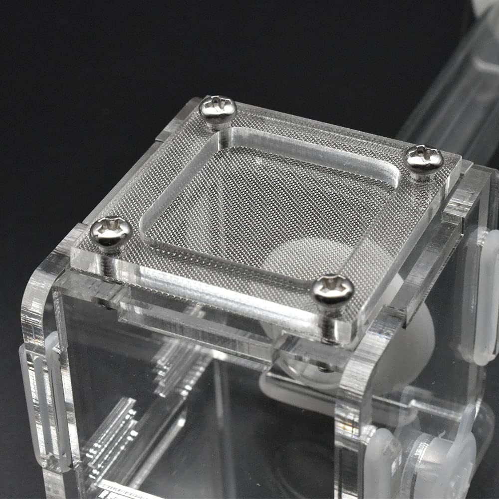 DELLMAO Acrylic Mini Ant Farm - Transparent Glass Nest Tube, 50x50x50mm, Small Colony Feeding Area for Ant Observation