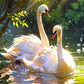 Tulip N Turtle Hans Diy Acrylic Paint By Number Kit For Adults Beginner Canvas Painting By Number Acrylic Painting. Wall Decorat