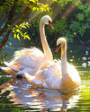 Tulip N Turtle Hans Diy Acrylic Paint By Number Kit For Adults Beginner Canvas Painting By Number Acrylic Painting. Wall Decorat
