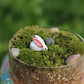 Mini Terrarium Rabbit, Dollhouse Miniature Tiny White Rabbit with Pink Ear, Terrarium Fairy Garden Dolls Toy, Mini Micro Landsca