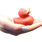 Cool Rubber Ducks (2') Standard Size. (12 Pack) Cute Duck Bath Tub Pool Toys. (Solid Color Rubber Duckies)