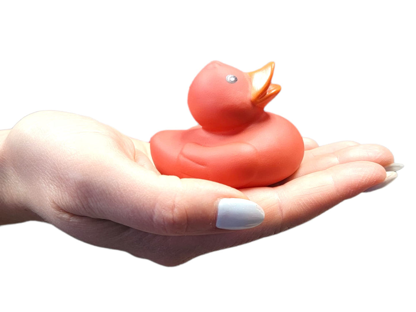 Cool Rubber Ducks (2') Standard Size. (12 Pack) Cute Duck Bath Tub Pool Toys. (Solid Color Rubber Duckies)
