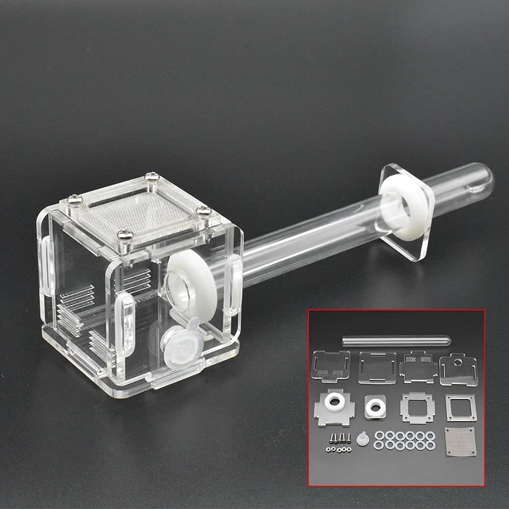 DELLMAO Acrylic Mini Ant Farm - Transparent Glass Nest Tube, 50x50x50mm, Small Colony Feeding Area for Ant Observation