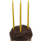 Beeswax Candle Works, 5-Inch Birthday Candles (Pack of 24) 100% USA Beeswax