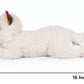 Ice King Bear 16' Realistic Ragdoll Cat Stuffed Animal 2Lb Fluffy Plush Toy Large