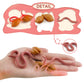 Life Cycle of Earthworm Toys Earthworm Life Cycle Figurines Set Realistic Preschool Animals Figures Eduactional Project Diorama Model Toy for Kids