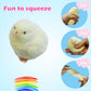 Handmade Soft Chick Squishy Toys,Stress Relief Sensory Toys,Silicone Fidget Toys Squishy Suitable Adults( Chicken,1Pack )