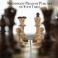 Wegiel Handmade 16 Inch Wooden Chess Set - Luxury Beech & Birch for Adults & Kids, Unique Folding Design in Junior Color