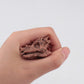 Lc Joycre 11Pcs Realistic Mini Dinosaur Bones Set T-Rex Skull For Sandbox Kids Toys Carnotaurus Velociraptot Brachiosaurus Ovira