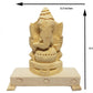 JDS Puja Articles - Vellerkku Root Vinayagar Original - Swetharka Ganesh - Thelle Gilledu Ganapathi - White Ganesha - with Stand