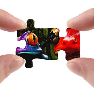 Colorful Frog Puzzle 1000 Piece For Adults, Rainbow Frogs Jigsaw Puzzle Nature, Forest Animal Scenic Puzzles