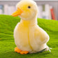 Backlood Toys 8 Inch Small Yellow Duck Plush Stuffed Toy - Acrylic Fiber, Cute Design