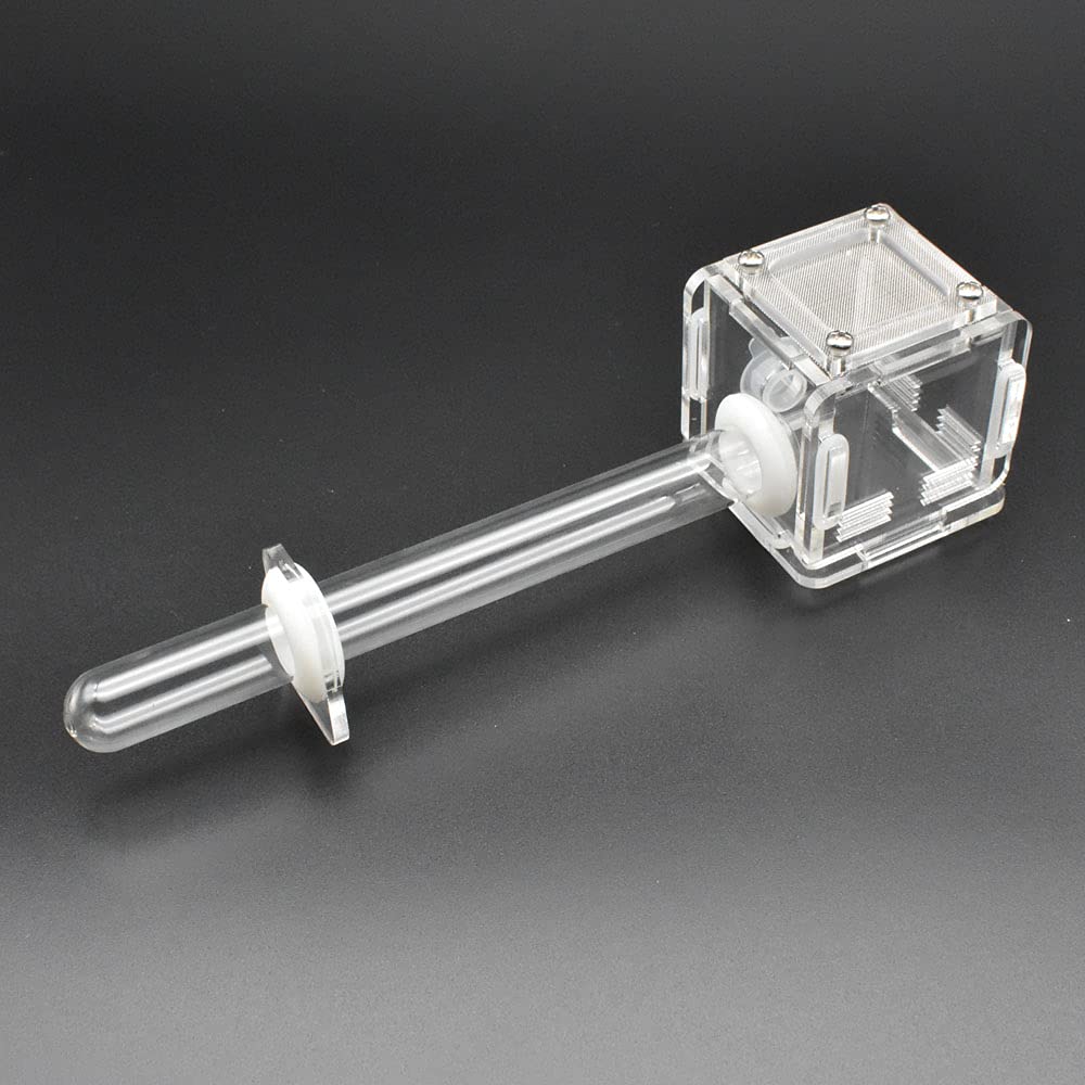 DELLMAO Acrylic Mini Ant Farm - Transparent Glass Nest Tube, 50x50x50mm, Small Colony Feeding Area for Ant Observation