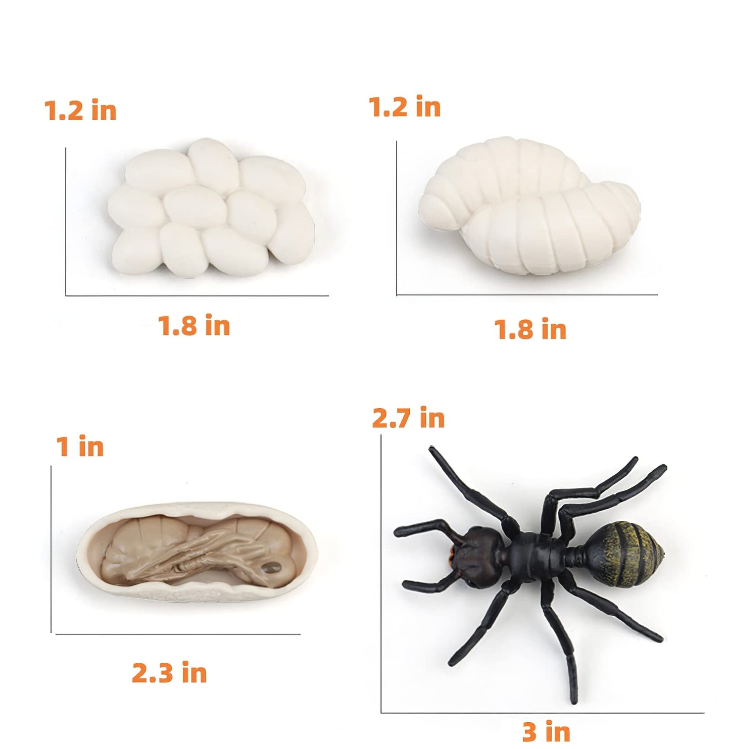 Montessori Life Cycle Animal Figures With Flash Cards, Realistic Animal Figurines Toy, Animal Educational Matching Game For 3+ Year Old Toddlers Kids (Ant)