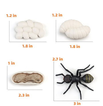Montessori Life Cycle Animal Figures With Flash Cards, Realistic Animal Figurines Toy, Animal Educational Matching Game For 3+ Year Old Toddlers Kids (Ant)