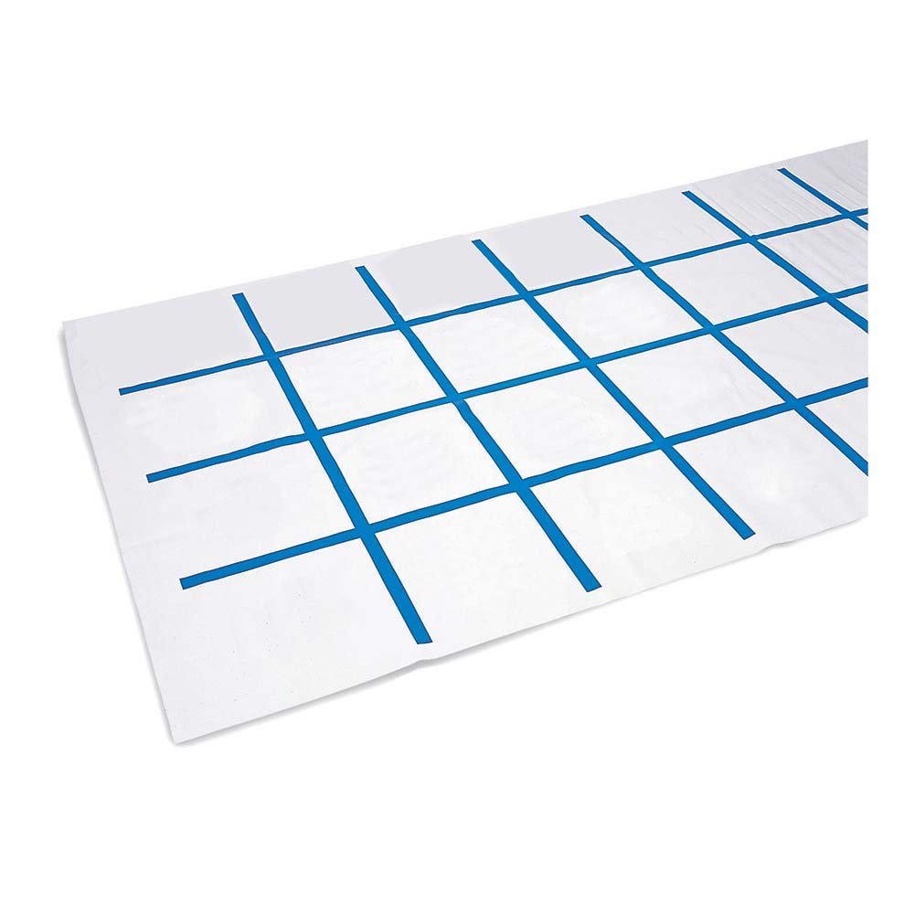 Eai Education Graphing Mat -Like New