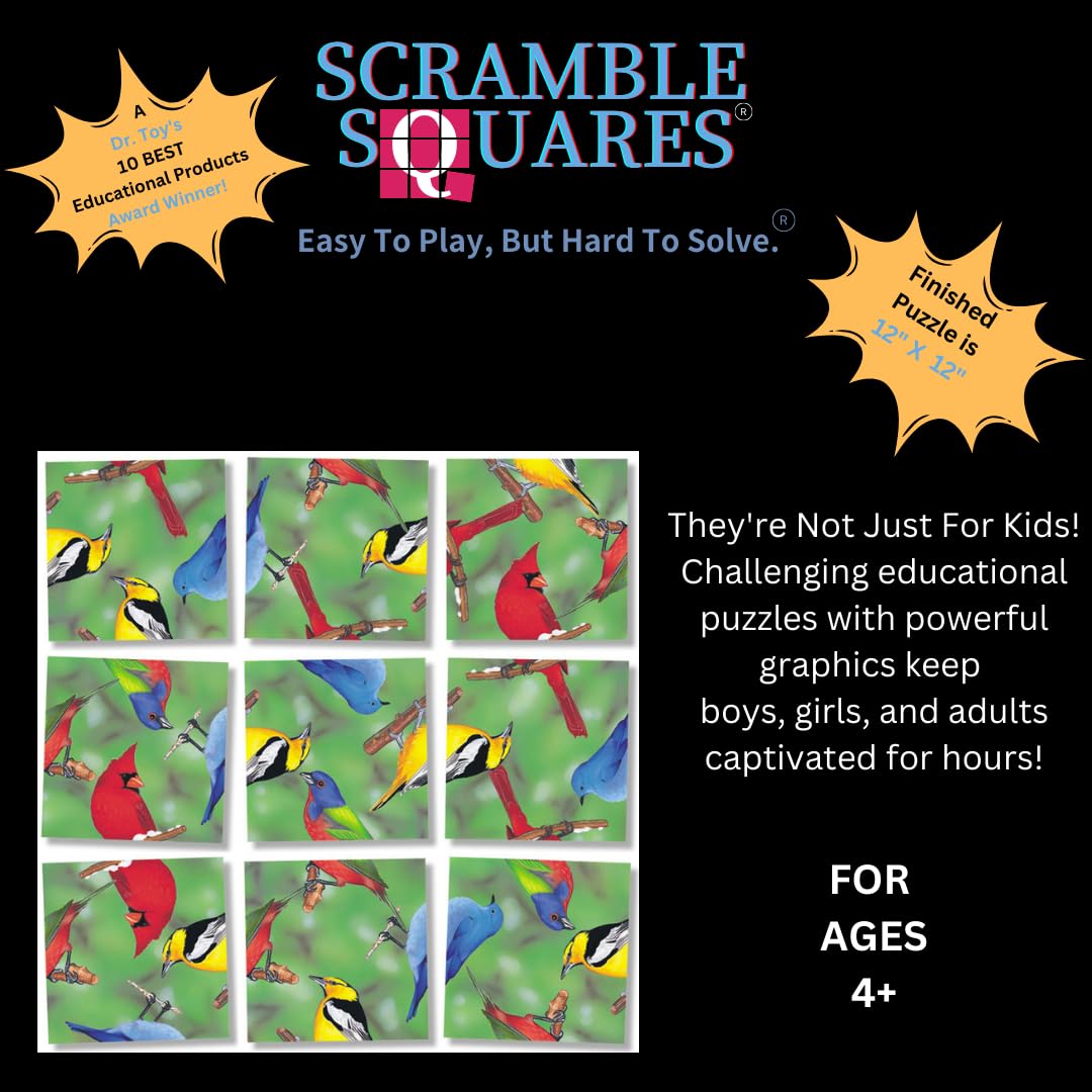 B.Dazzle Scramble Squares North American Birds Puzzle - One Size, Green, Laminated Cardboard, Model 10016